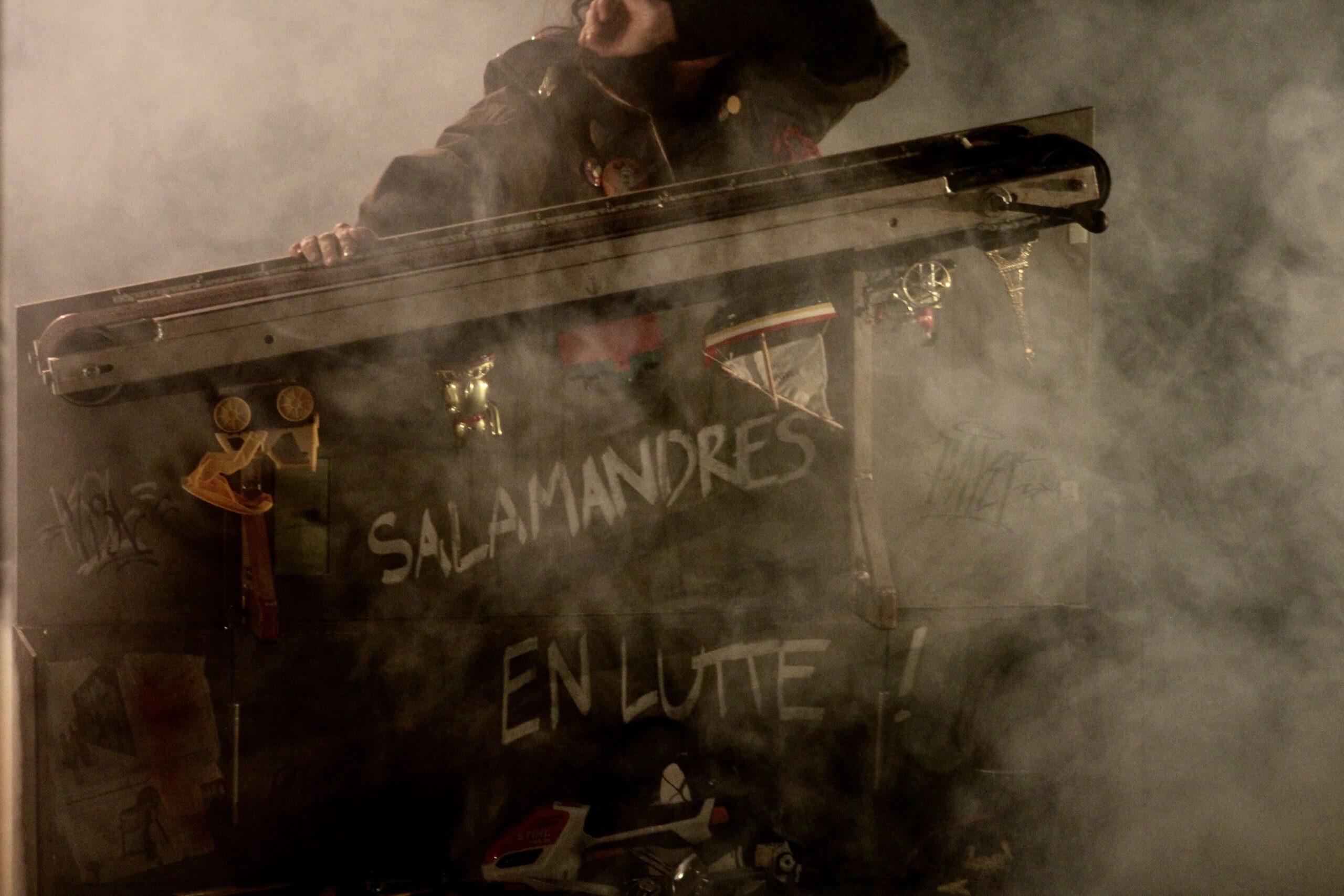 Salamandres en lutte